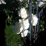 Lägenhet Sunshine