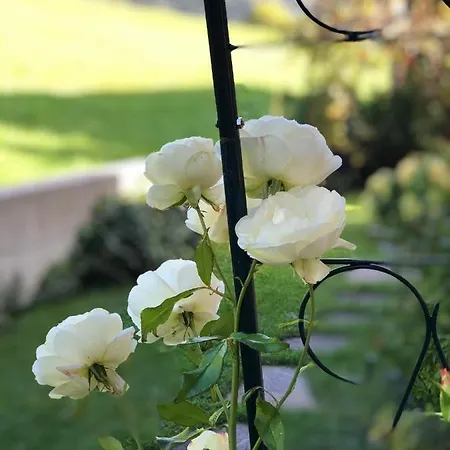 صن شاين بروك أم زيلر * Bruck am Ziller